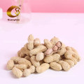 Best Export Quality Roasted Peanut in Shell 9/11